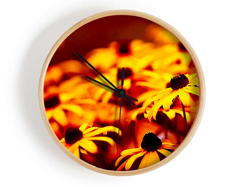 Daisies In Golden Sunlight Clock - Wallart-Direct UK