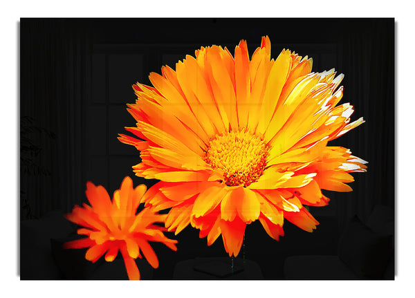 Leuchtend orange Gerbera