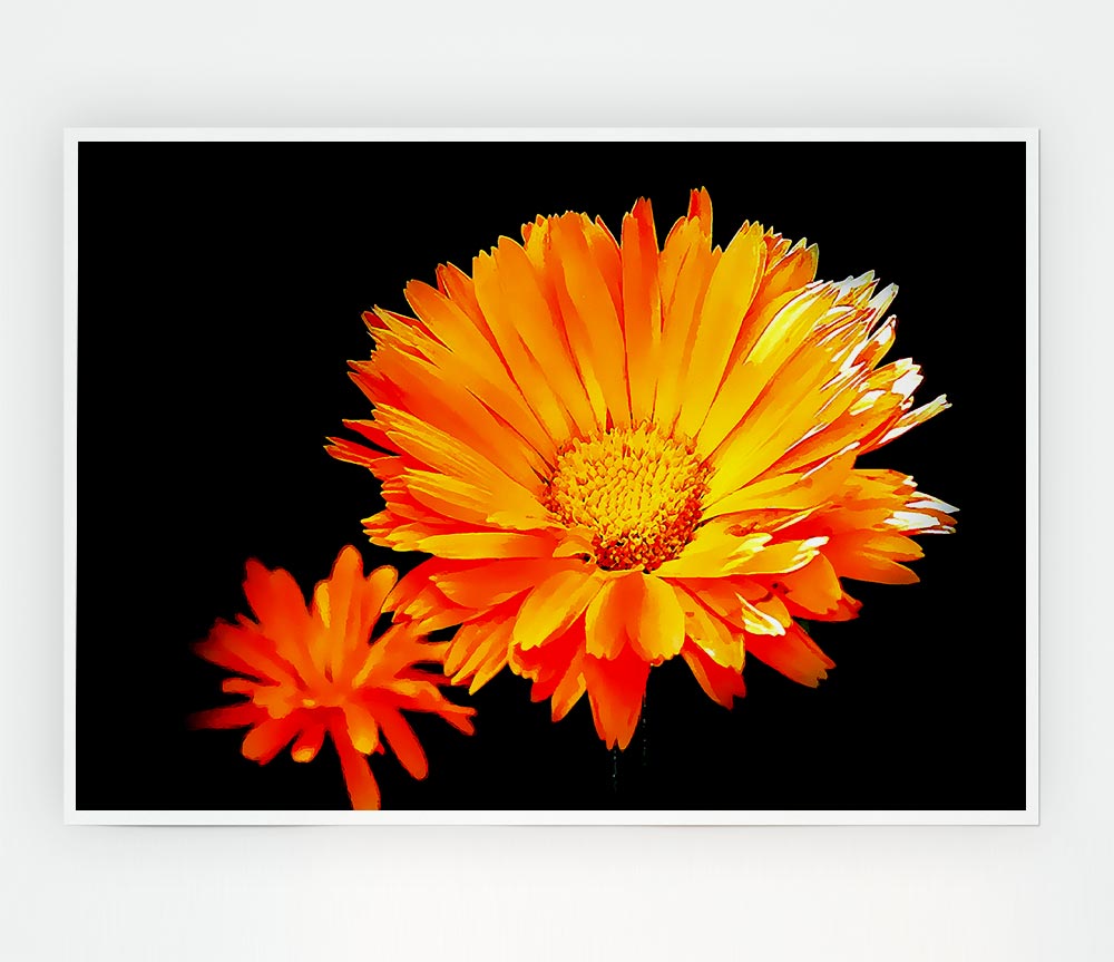 Vibrant Orange Gerberas Print Poster Wall Art