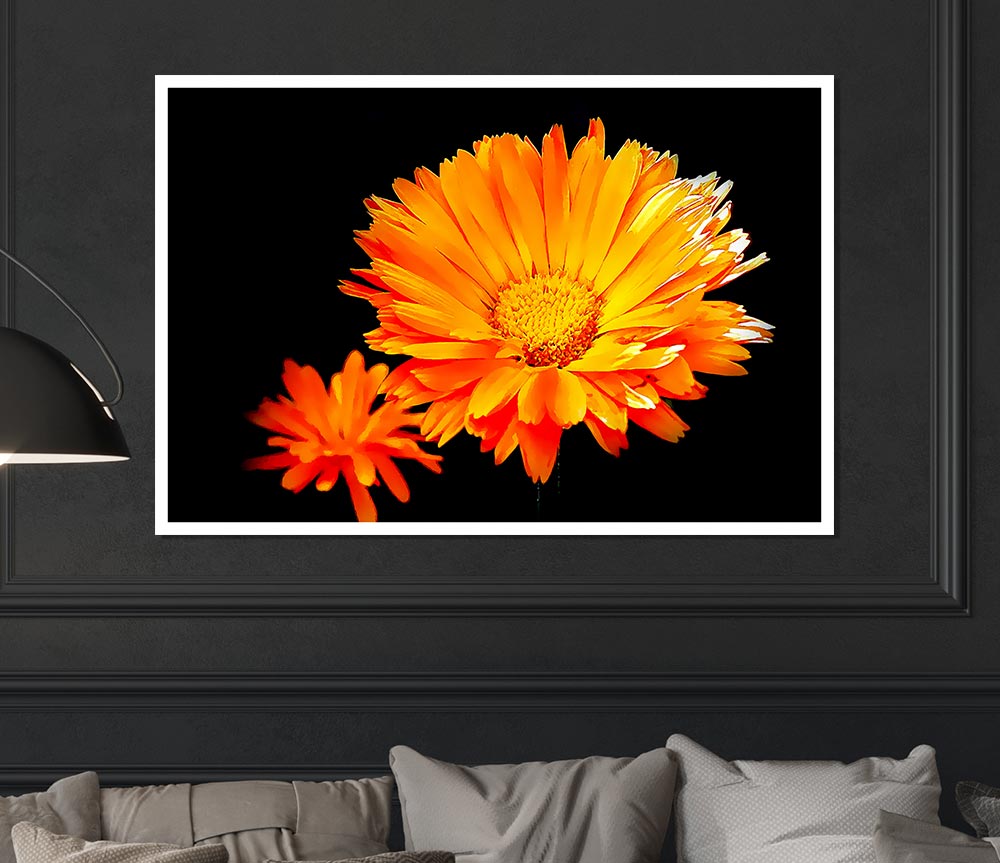 Vibrant Orange Gerberas Print Poster Wall Art