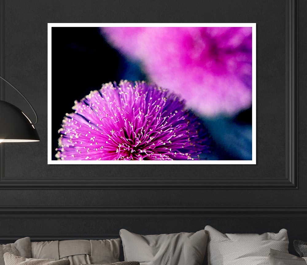 Cerise Pink Pom Poms Print Poster Wall Art