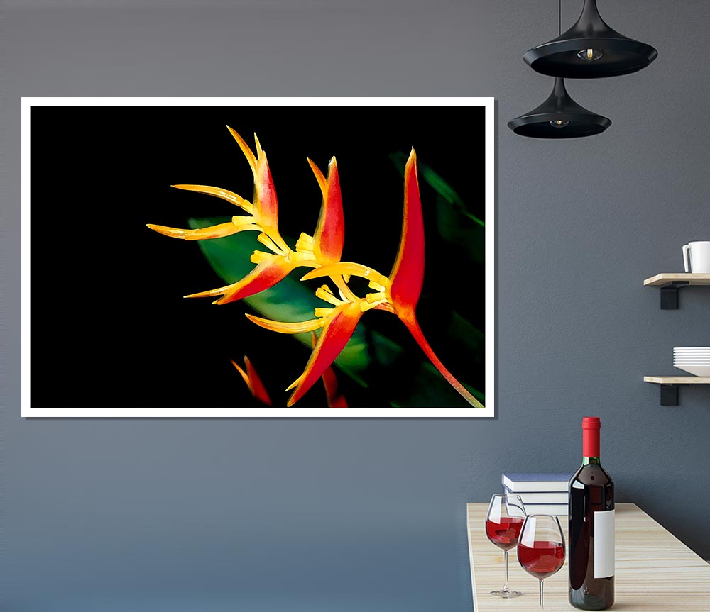 Bird Of Paradise In Sunlight Print Poster Wall Art