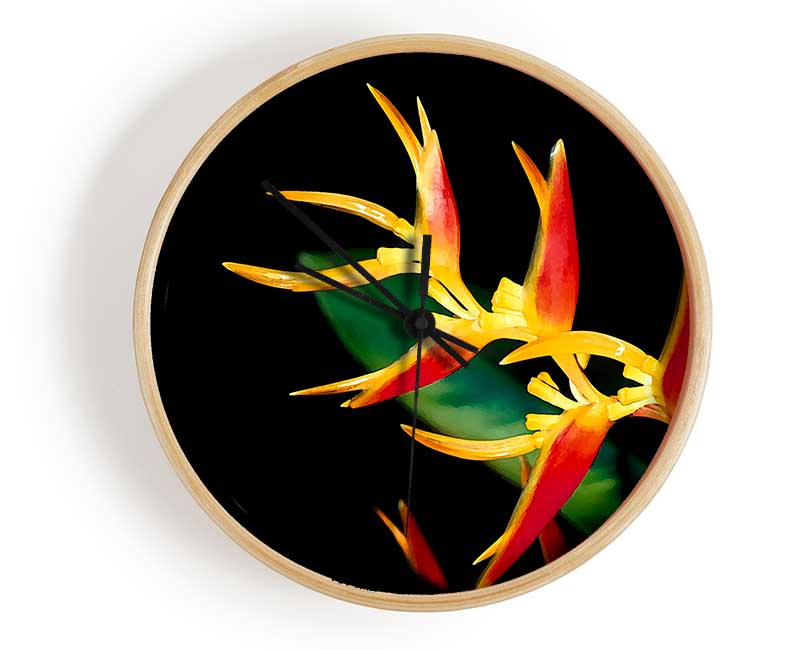 Bird Of Paradise In Sunlight Clock - Wallart-Direct UK