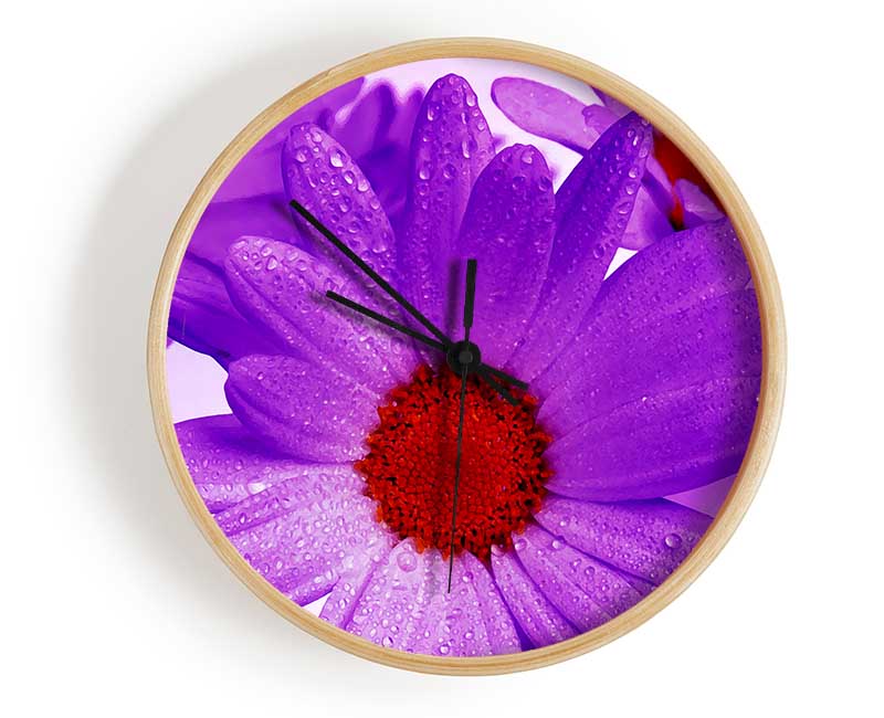 Purple Dew Drop Daisys Clock - Wallart-Direct UK