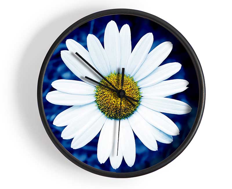 White Daisy Face On Blue Clock - Wallart-Direct UK