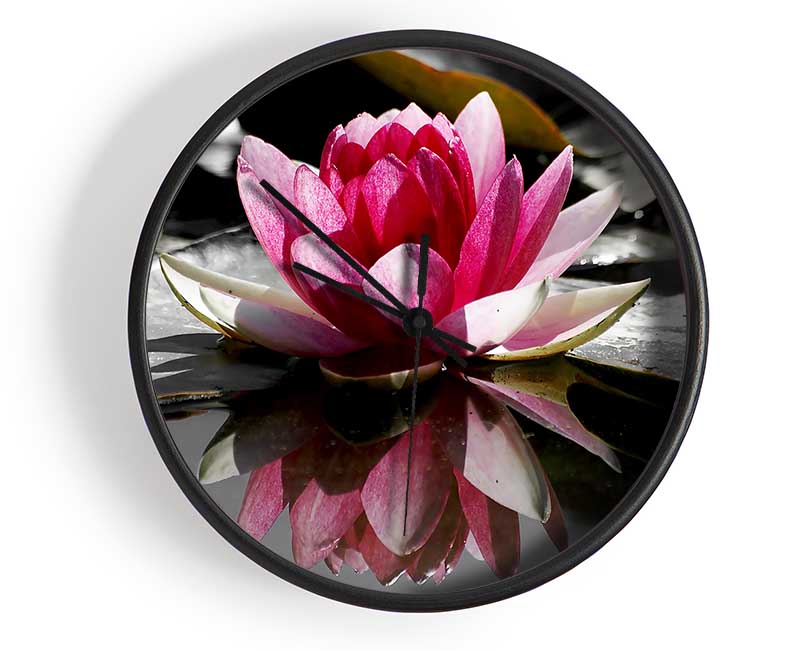 Pink Water Lily Reflections B n W Clock - Wallart-Direct UK