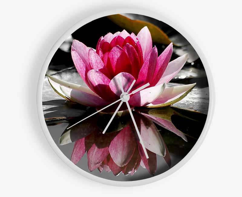 Pink Water Lily Reflections B n W Clock - Wallart-Direct UK