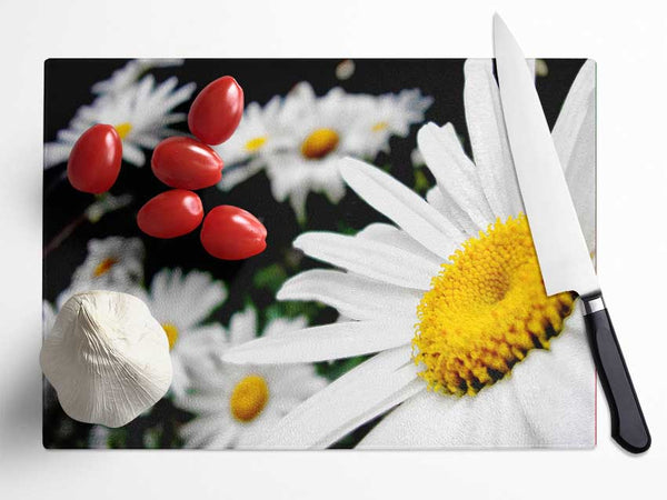 White Daisy Galore Glass Chopping Board