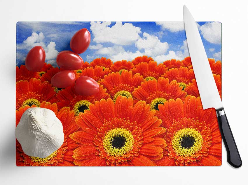 Orange Gerbera Heaven Glass Chopping Board