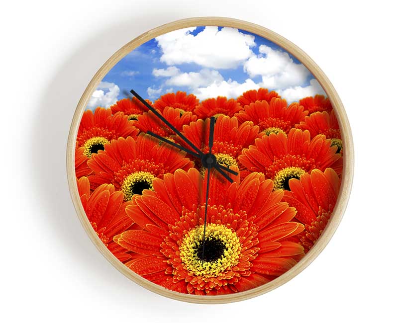 Orange Gerbera Heaven Clock - Wallart-Direct UK