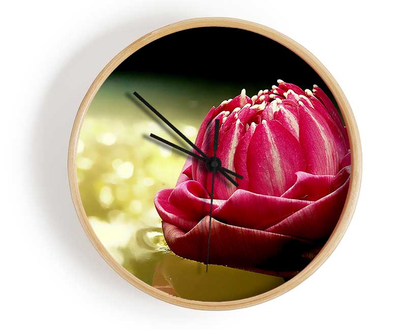 Pink Water Lily Sparkle Clock - Wallart-Direct UK