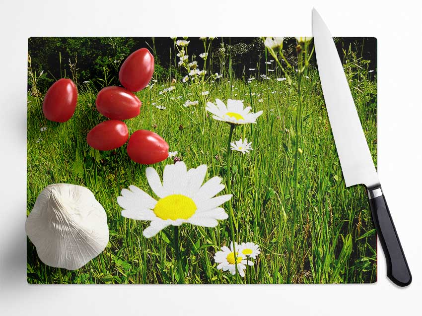 Daisy Field Glass Chopping Board