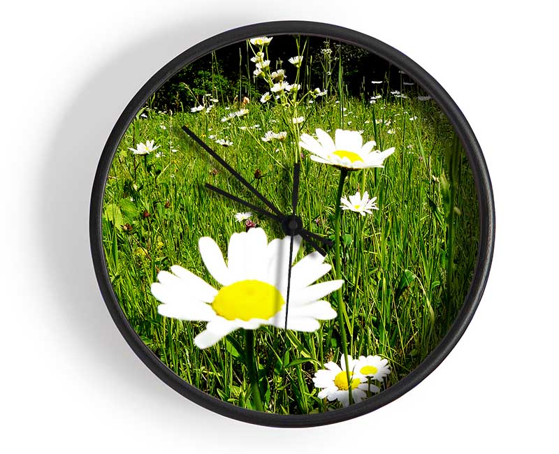 Daisy Field Clock - Wallart-Direct UK