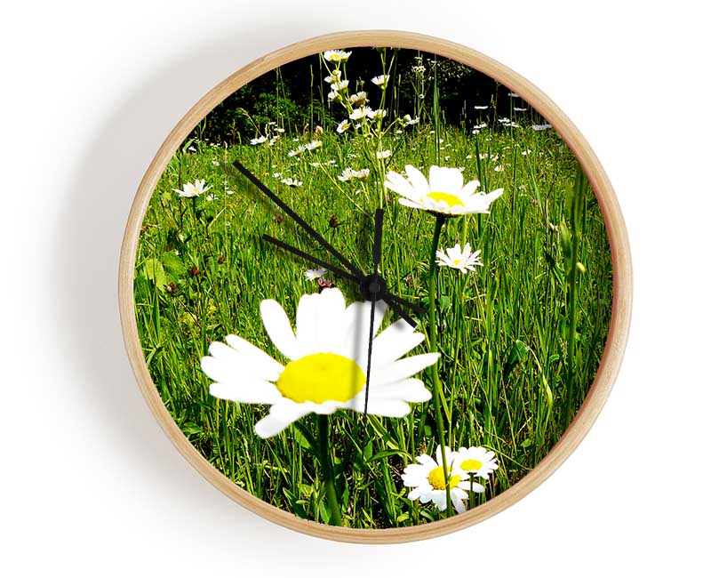 Daisy Field Clock - Wallart-Direct UK