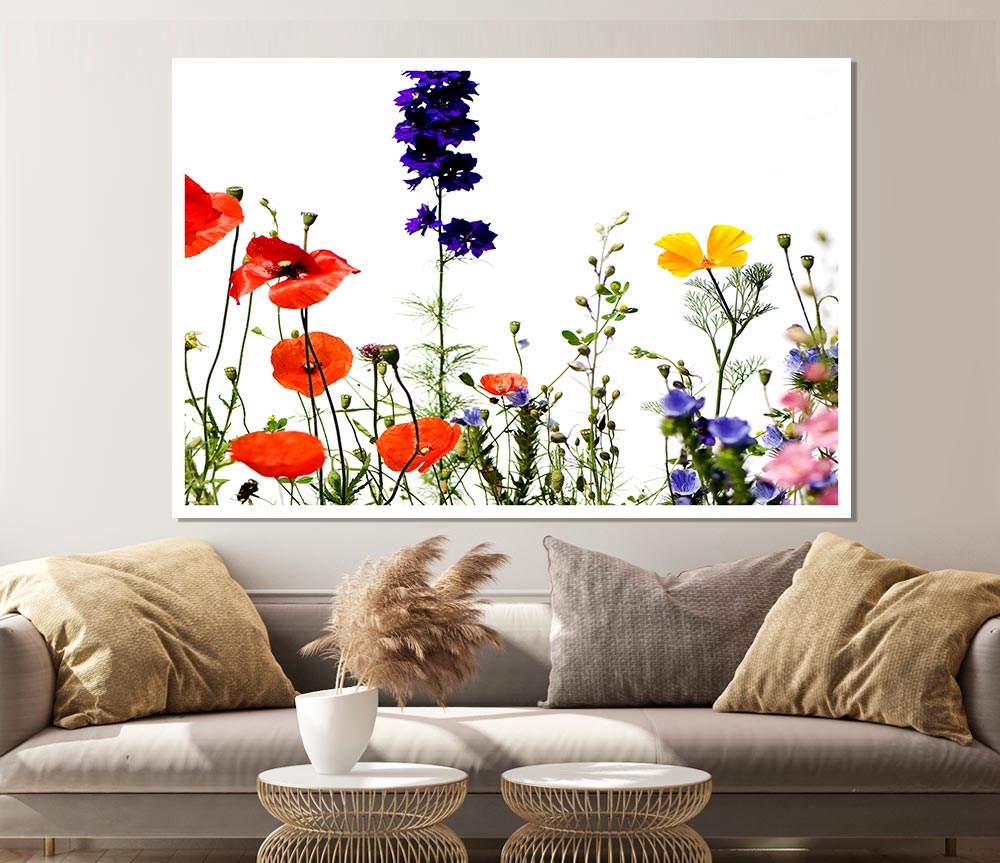 Wild Flower Garden In Bloom Print Poster Wall Art