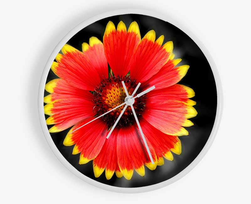 Colours Of The Sun Clock - Wallart-Direct UK