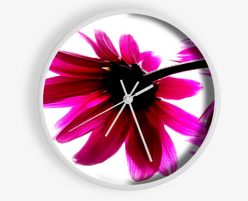 Stunning Pink Petals Bathed In Light Clock - Wallart-Direct UK