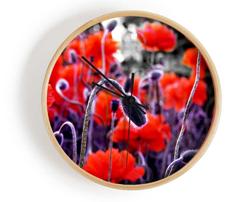 Field Of Red Poppys Clock - Wallart-Direct UK