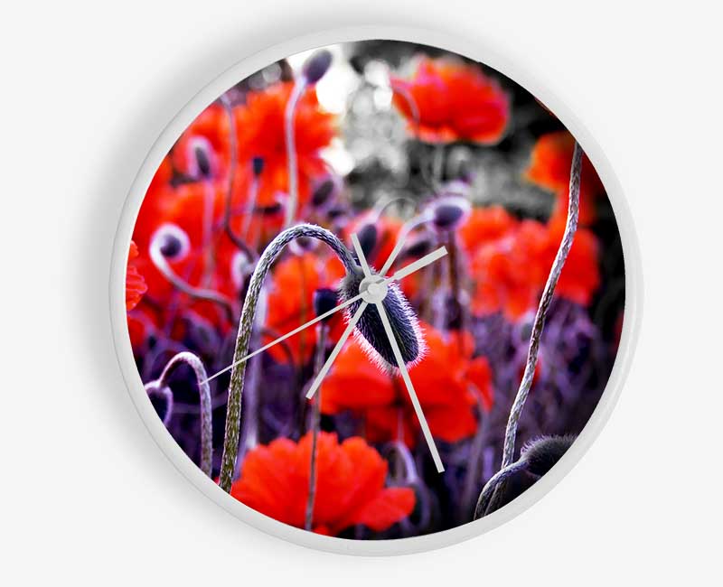 Field Of Red Poppys Clock - Wallart-Direct UK