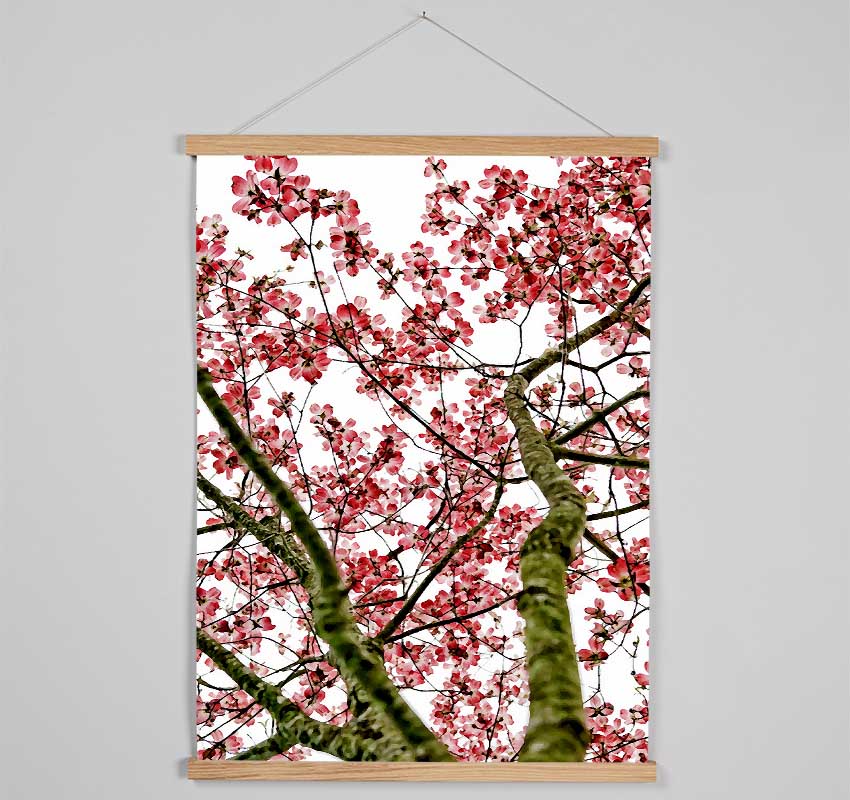 Pink Cherry Blossom Tree Hanging Poster - Wallart-Direct UK