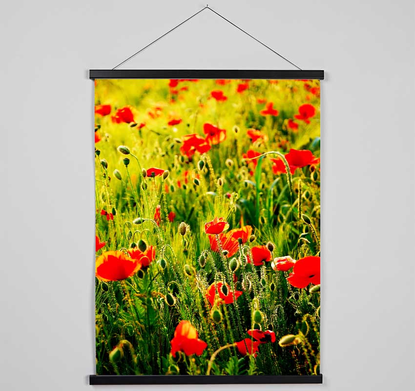 Poppy Field Sunlight Hanging Poster - Wallart-Direct UK