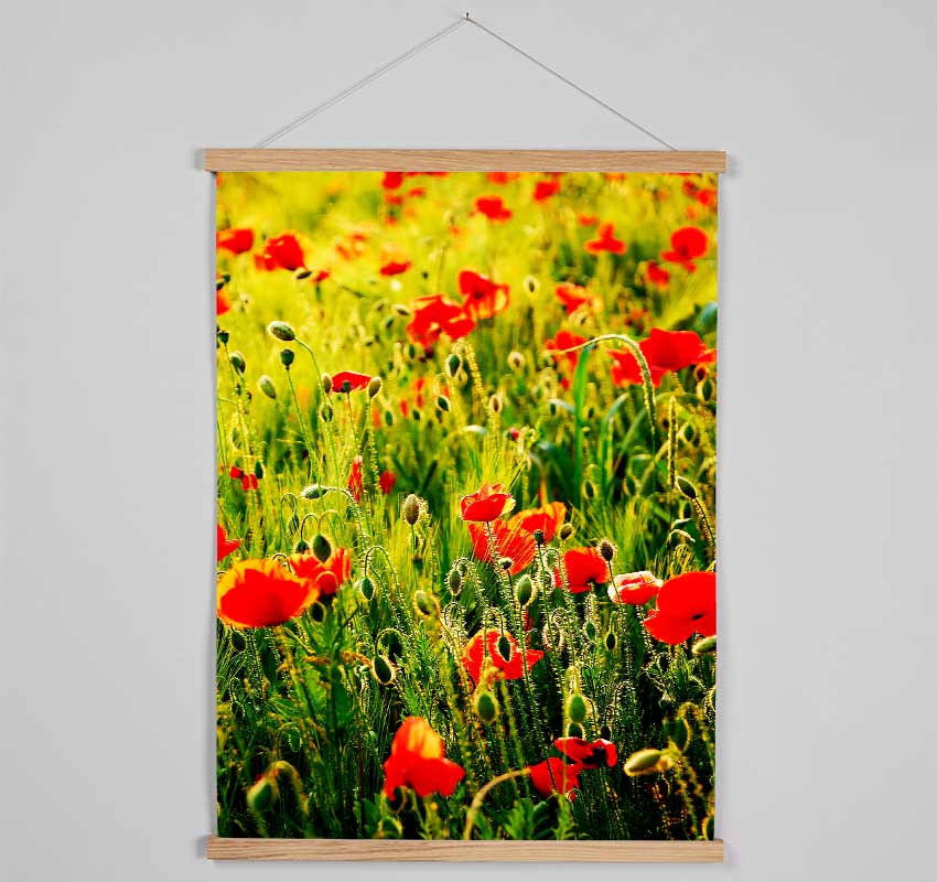 Poppy Field Sunlight Hanging Poster - Wallart-Direct UK