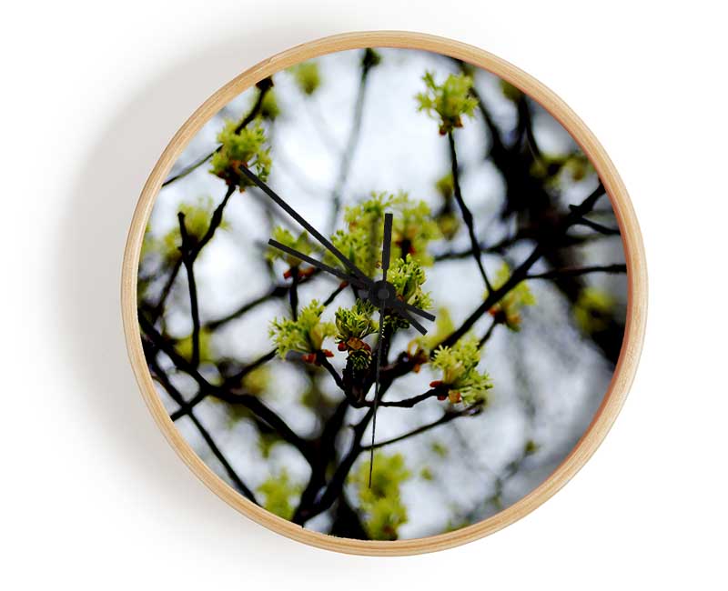 The First Signs Of Spring Clock - Wallart-Direct UK