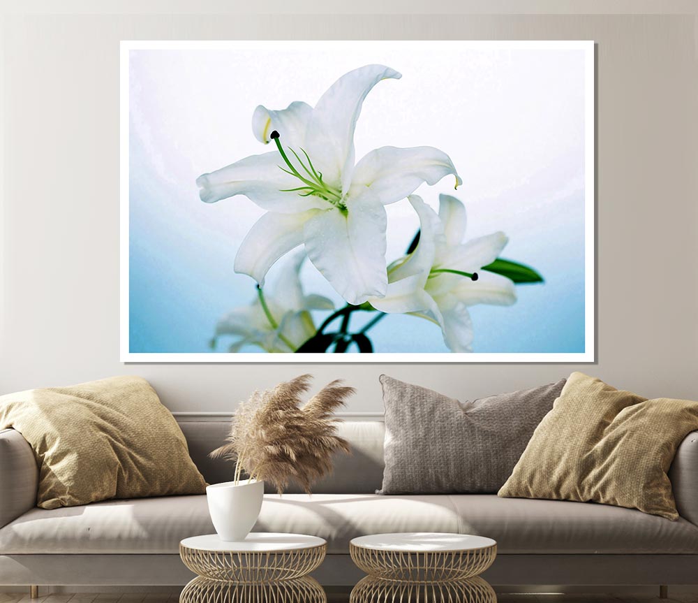 White Flowers In Bloom On Baby Blue Print Poster Wall Art