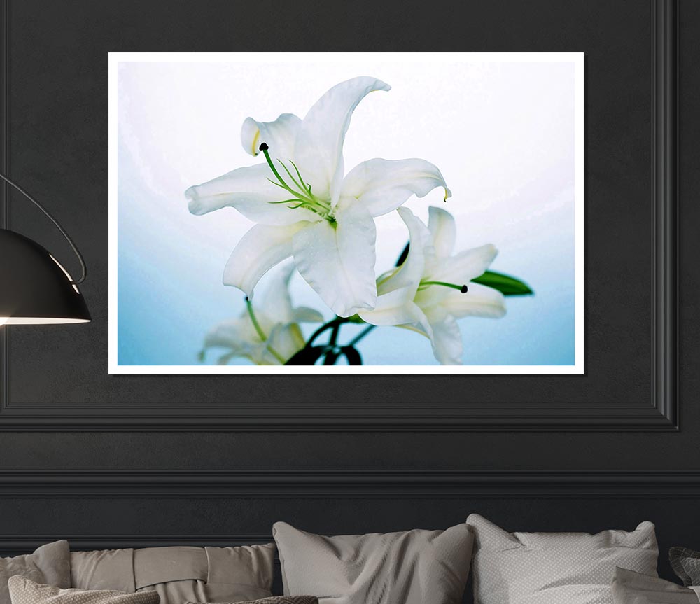 White Flowers In Bloom On Baby Blue Print Poster Wall Art