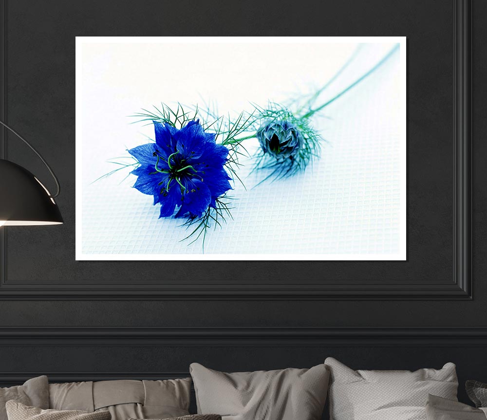 Blue Passion Print Poster Wall Art