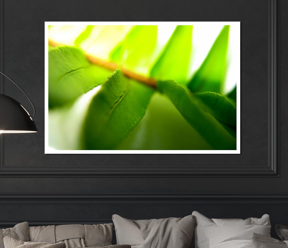 Green Leaves Close Up Print Poster Wall Art