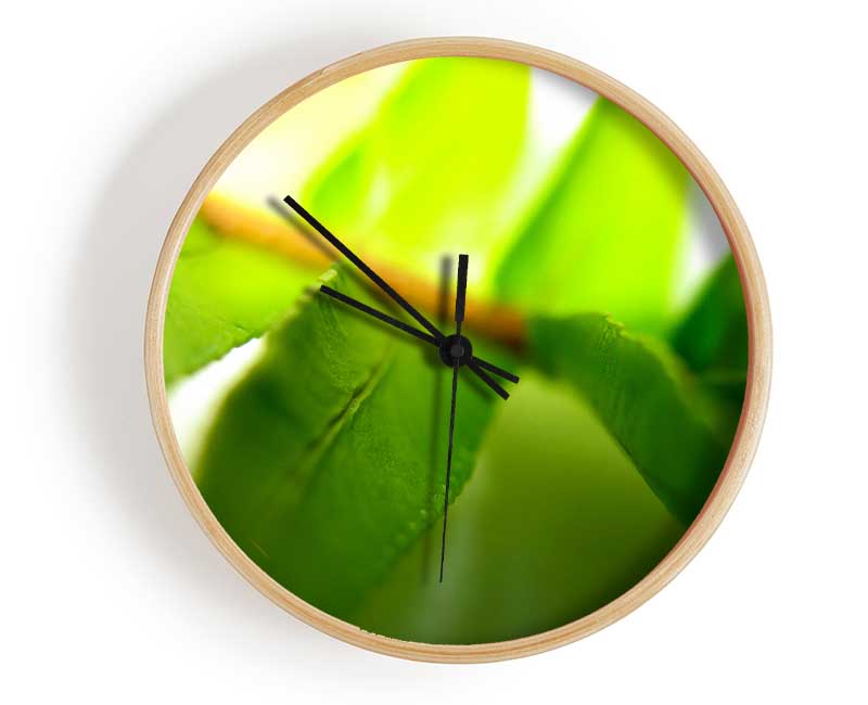 Green Leaves Close-Up Clock - Wallart-Direct UK