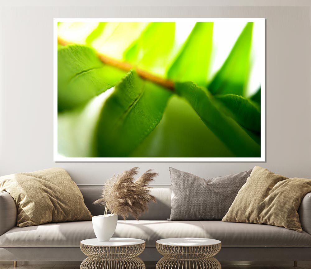 Green Leaves Close Up Print Poster Wall Art