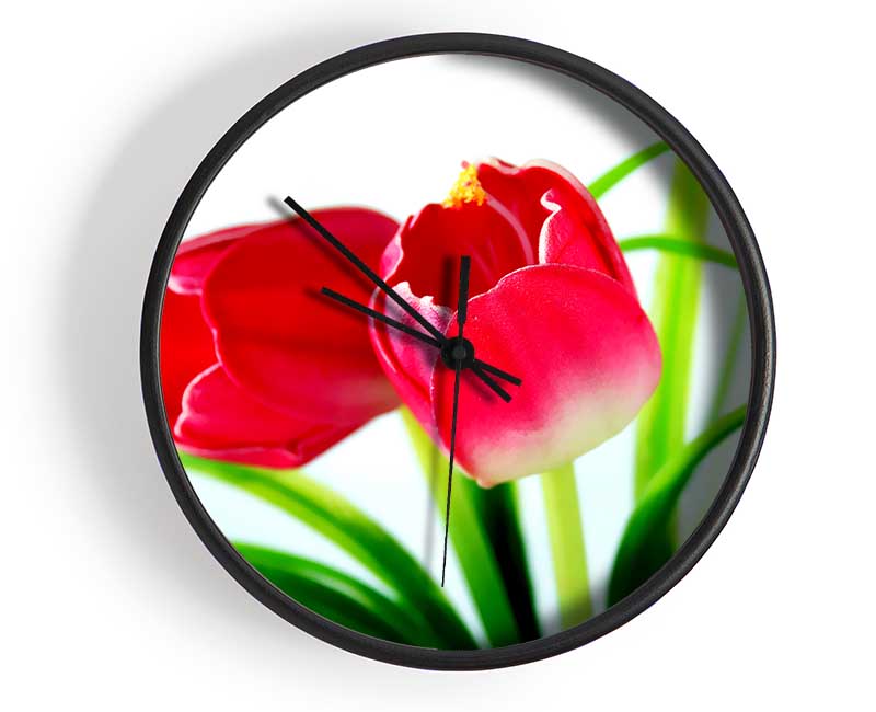 Pink Tulip Duo Clock - Wallart-Direct UK