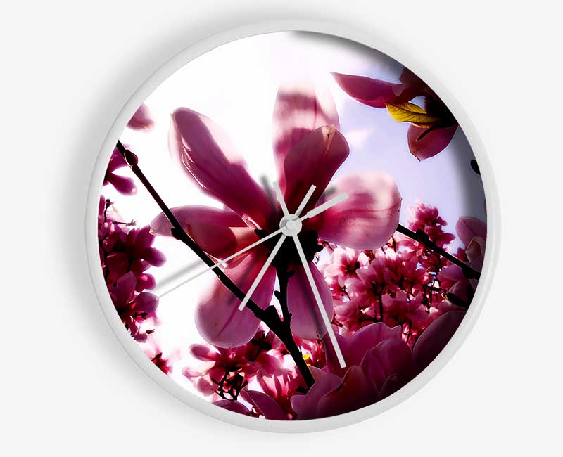 Pink Cherry Blossom In Sunlight Clock - Wallart-Direct UK