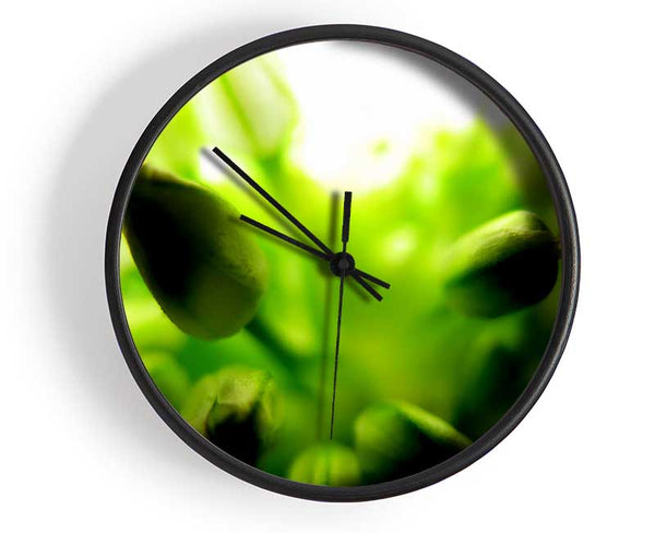 Green Buds In Sunlight Clock - Wallart-Direct UK