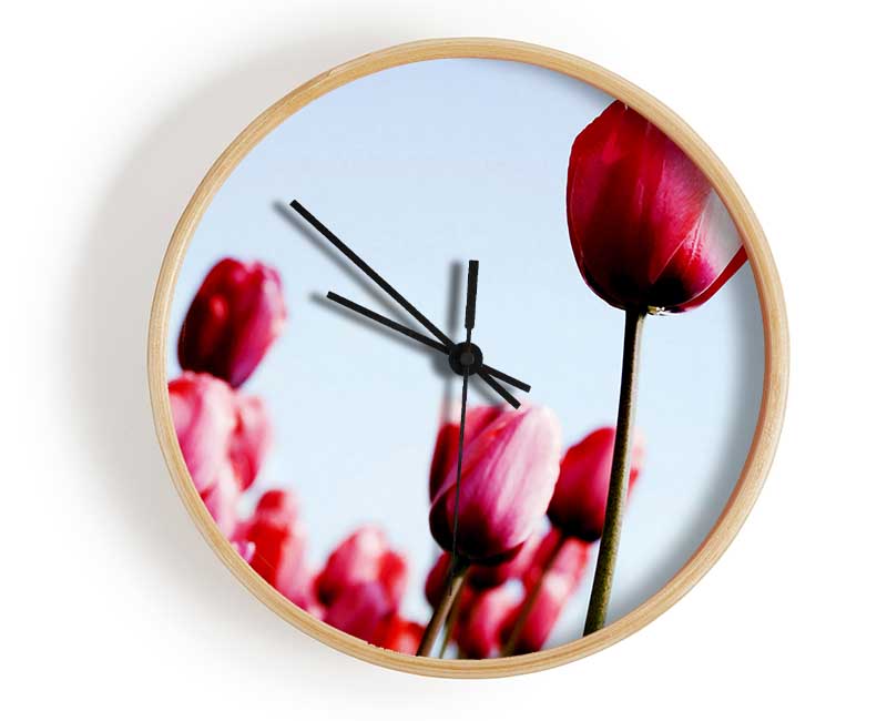 Pink Tulip March Clock - Wallart-Direct UK