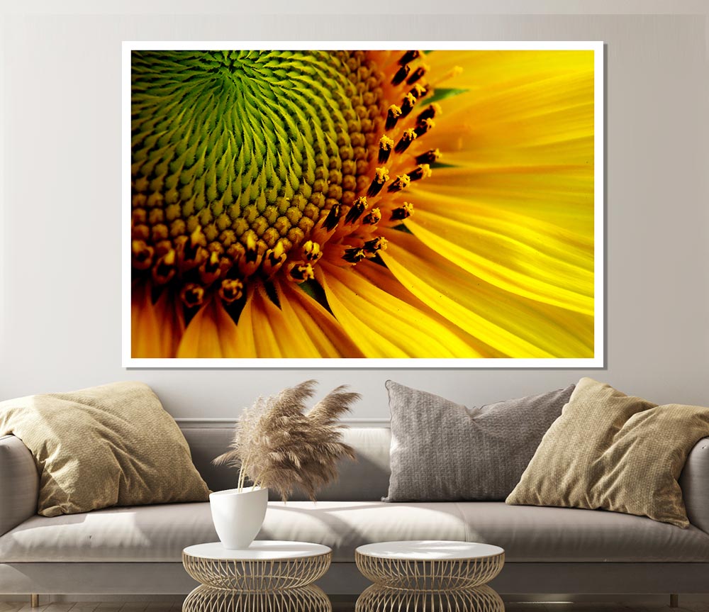 Yellow Sunflower Centre Print Poster Wall Art