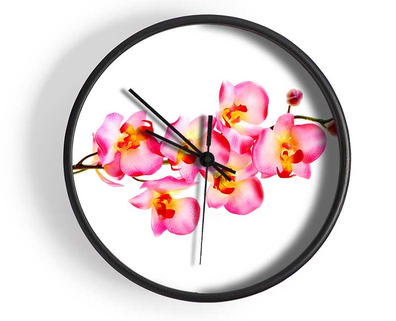 Orchid Stem Beauty Clock - Wallart-Direct UK