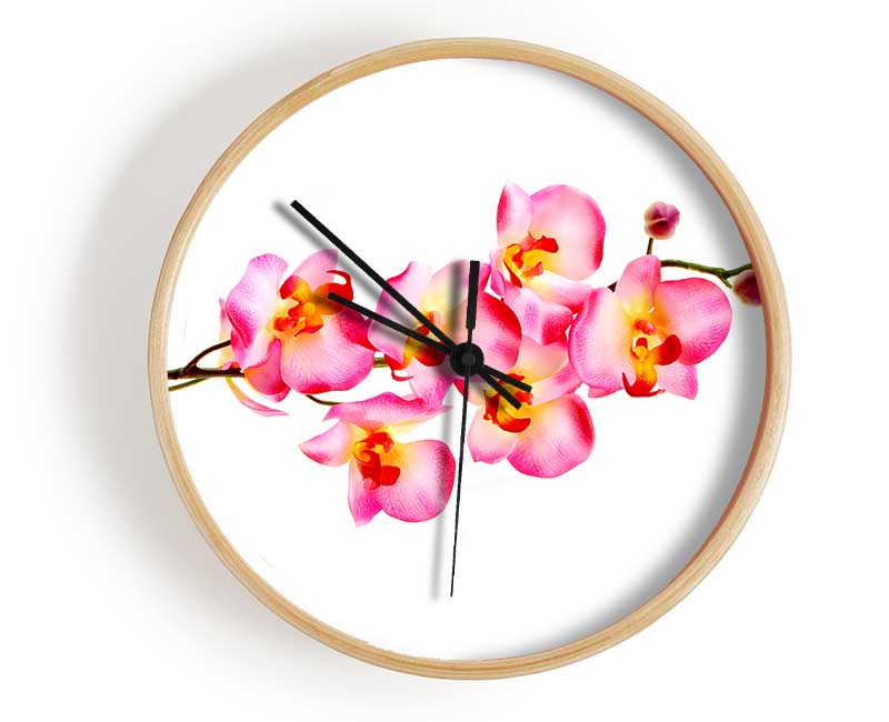 Orchid Stem Beauty Clock - Wallart-Direct UK