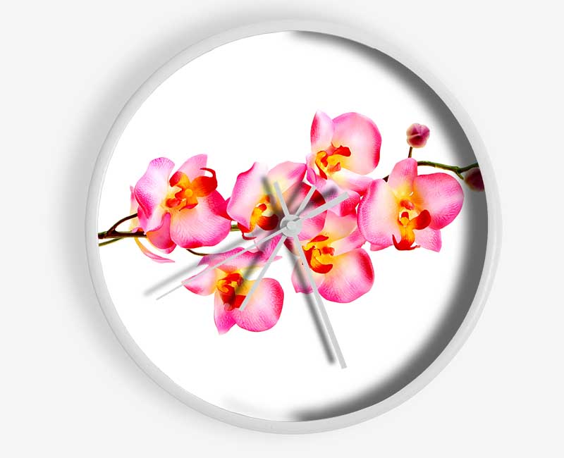 Orchid Stem Beauty Clock - Wallart-Direct UK