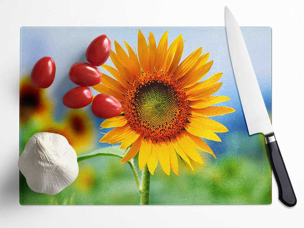 Morning Sunflower Glass Chopping Board