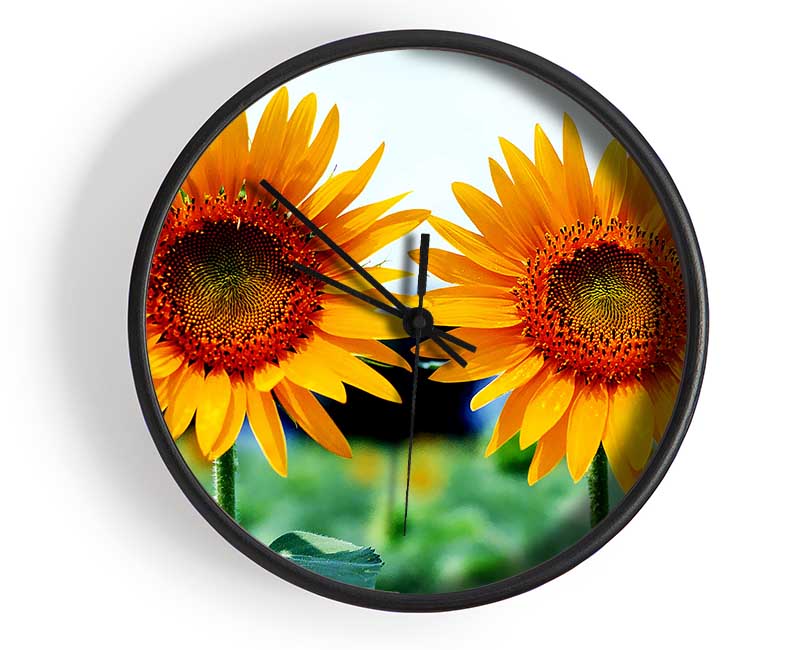 Twin Sunflowers Clock - Wallart-Direct UK