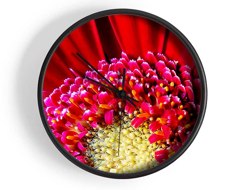 Red Gerbera Face Close-Up Clock - Wallart-Direct UK