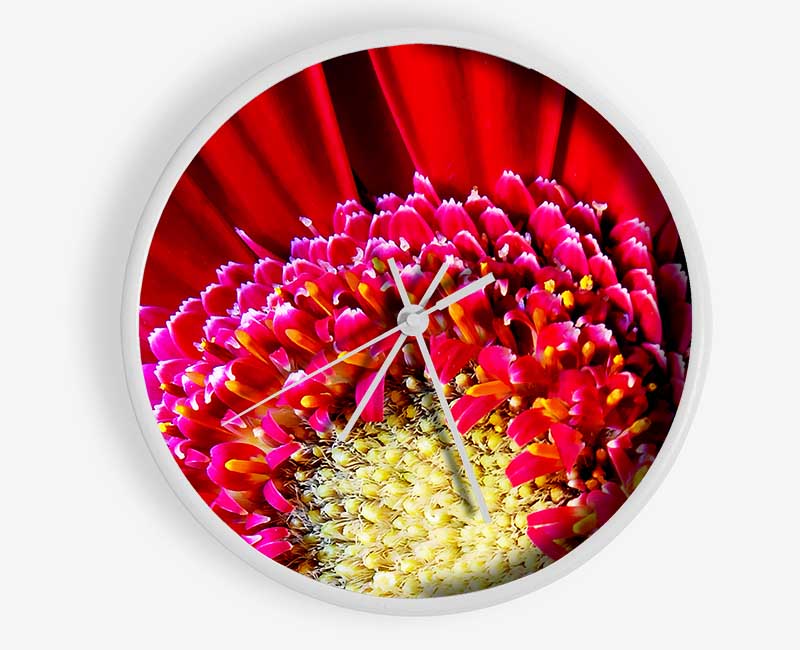 Red Gerbera Face Close-Up Clock - Wallart-Direct UK