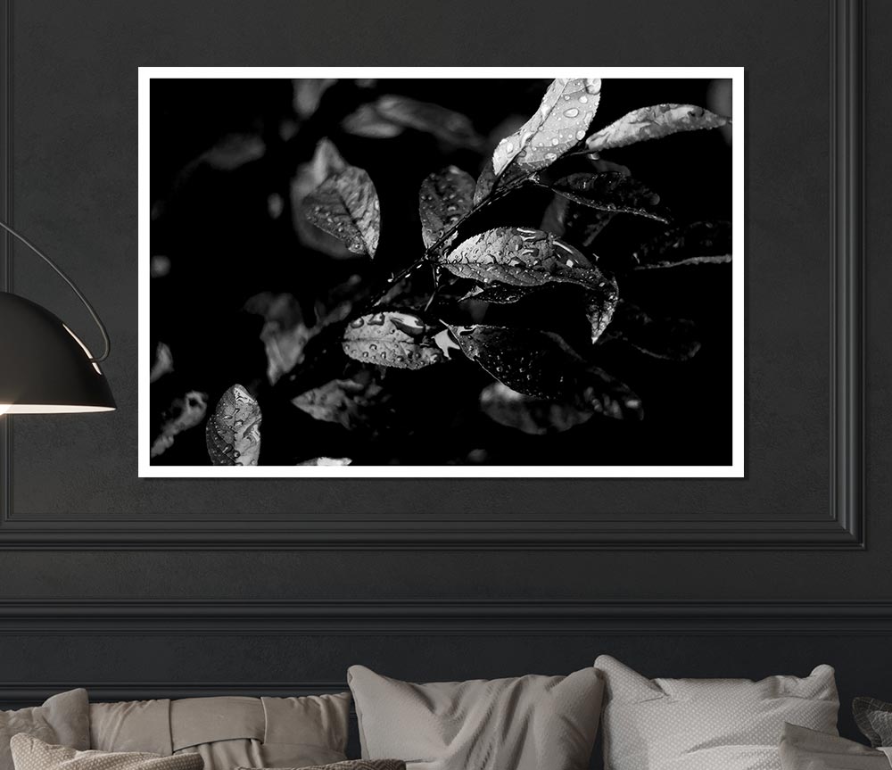 Winter Leaves B N W Print Poster Wall Art