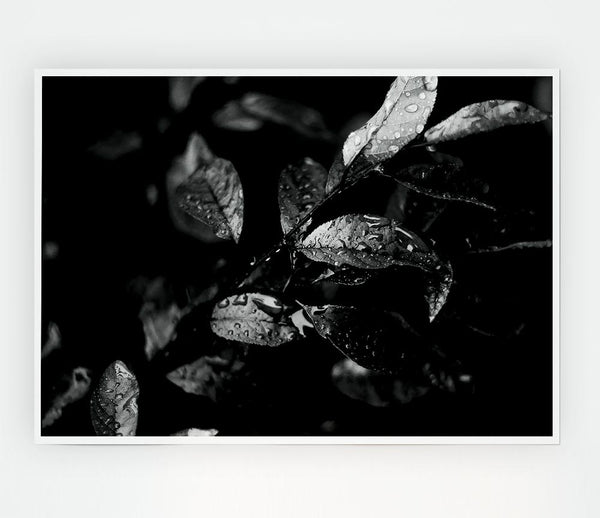 Winter Leaves B N W Print Poster Wall Art