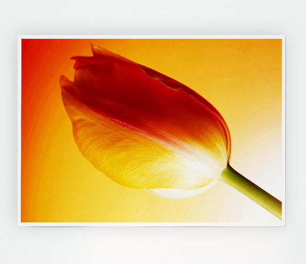 Yellow On Yellow Tulip Print Poster Wall Art