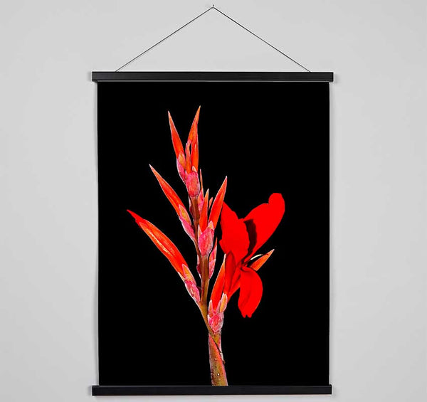 Red Night Flower Hanging Poster - Wallart-Direct UK