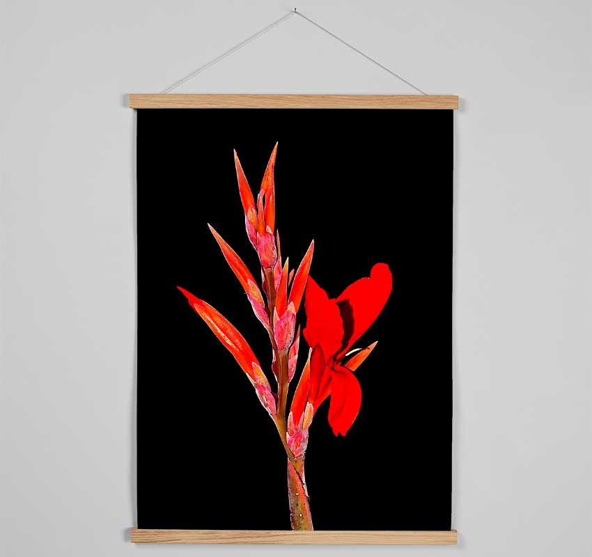 Red Night Flower Hanging Poster - Wallart-Direct UK